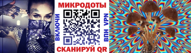 Псилоцибиновые грибы прущие грибы  Камызяк 
